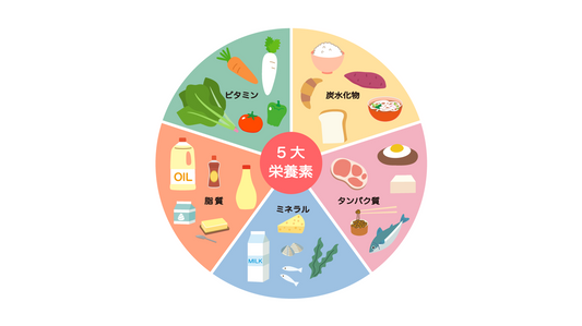 三大栄養素と五大栄養素ってなに?元気な毎日をつくる食事の基本。