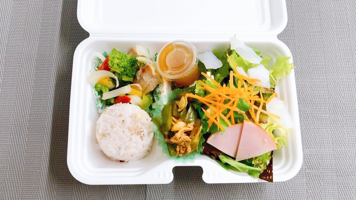 09月25日の日替わり弁当
