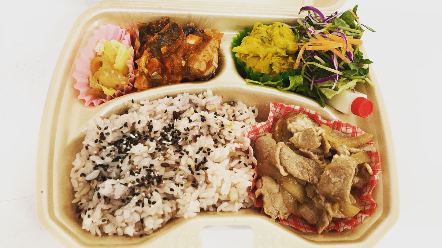 03月09日の日替わり弁当