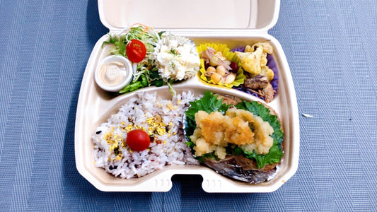 2025年6月19日のお弁当